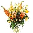 fleur,fleurs,fleuriste,fleuristes,florist,florists,plant,plants,plantes,plante,montreal,calgary,toronto,laval,longueuil,canada,quebec,winnipeg,edmonton,