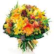 fleur,fleurs,fleuriste,fleuristes,florist,florists,plant,plants,plantes,plante,montreal,calgary,toronto,laval,longueuil,canada,quebec,winnipeg,edmonton,