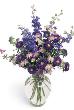 fleur,fleurs,fleuriste,fleuristes,florist,florists,plant,plants,plantes,plante,montreal,calgary,toronto,laval,longueuil,canada,quebec,winnipeg,edmonton,