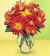 fleur,fleurs,fleuriste,fleuristes,florist,florists,plant,plants,plantes,plante,montreal,calgary,toronto,laval,longueuil,canada,quebec,winnipeg,edmonton,