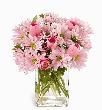 fleur,fleurs,fleuriste,fleuristes,florist,florists,plant,plants,plantes,plante,montreal,calgary,toronto,laval,longueuil,canada,quebec,winnipeg,edmonton,