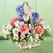 fleur,fleurs,fleuriste,fleuristes,florist,florists,plant,plants,plantes,plante,montreal,calgary,toronto,laval,longueuil,canada,quebec,winnipeg,edmonton,