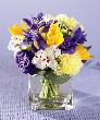 fleur,fleurs,fleuriste,fleuristes,florist,florists,plant,plants,plantes,plante,montreal,calgary,toronto,laval,longueuil,canada,quebec,winnipeg,edmonton,