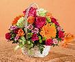 fleur,fleurs,fleuriste,fleuristes,florist,florists,plant,plants,plantes,plante,montreal,calgary,toronto,laval,longueuil,canada,quebec,winnipeg,edmonton,