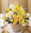 fleur,fleurs,fleuriste,fleuristes,florist,florists,plant,plants,plantes,plante,montreal,calgary,toronto,laval,longueuil,canada,quebec,winnipeg,edmonton,