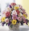 fleur,fleurs,fleuriste,fleuristes,florist,florists,plant,plants,plantes,plante,montreal,calgary,toronto,laval,longueuil,canada,quebec,winnipeg,edmonton,