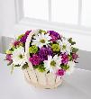 fleur,fleurs,fleuriste,fleuristes,florist,florists,plant,plants,plantes,plante,montreal,calgary,toronto,laval,longueuil,canada,quebec,winnipeg,edmonton,