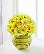fleur,fleurs,fleuriste,fleuristes,florist,florists,plant,plants,plantes,plante,montreal,calgary,toronto,laval,longueuil,canada,quebec,winnipeg,edmonton,